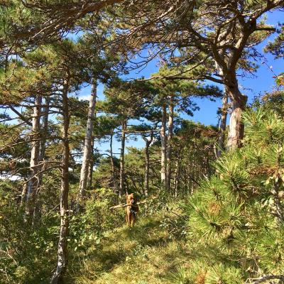 Medicina Mistella 05