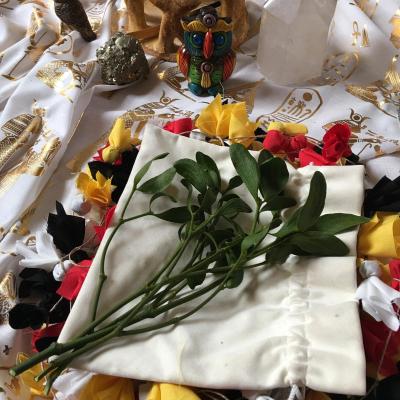 Medicina Mistella 06