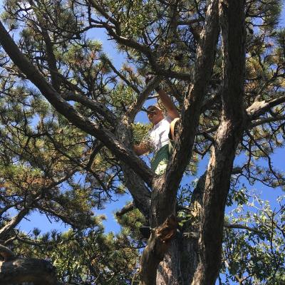 Medicina Mistella 07