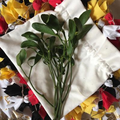 Medicina Mistella 09