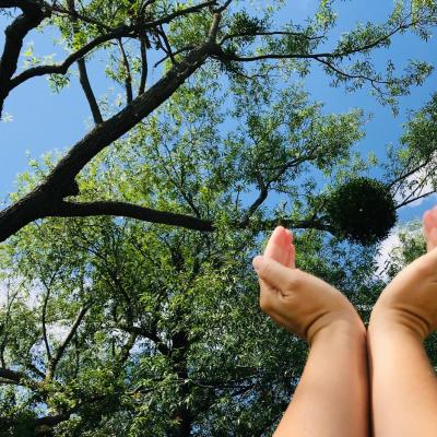 Medicina Mistella 12