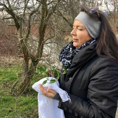 Medicina Mistella 13