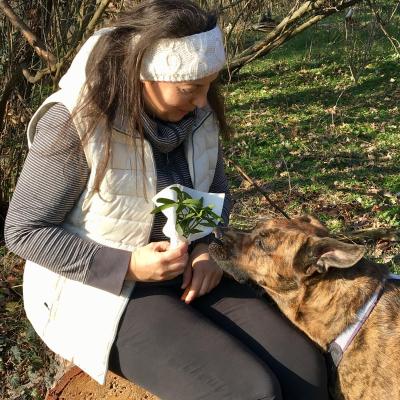 Medicina Mistella 20