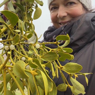 Medicina Mistella 21