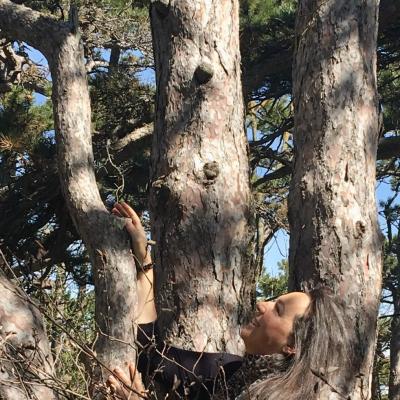 Medicina Mistella 23