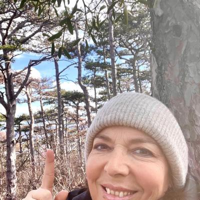 Medicina Mistella 24